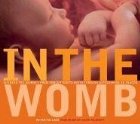 in the womb